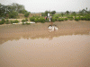 Surveying Floods in Haryana